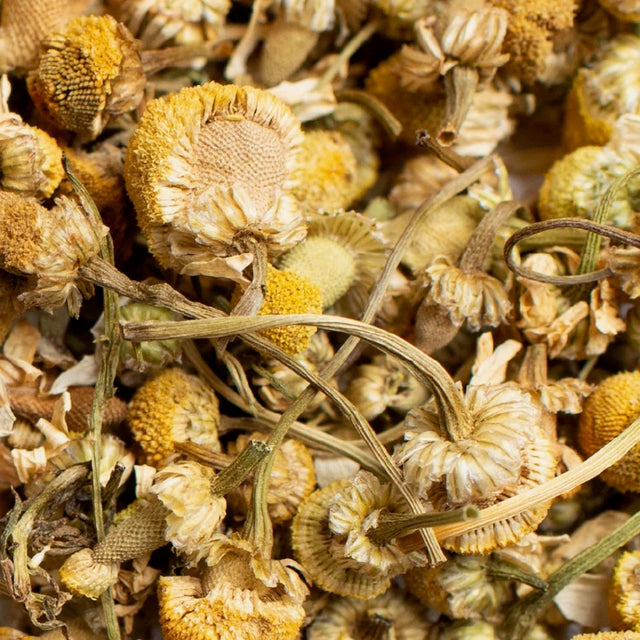 Organic Chamomile Flower from Pluck Tea