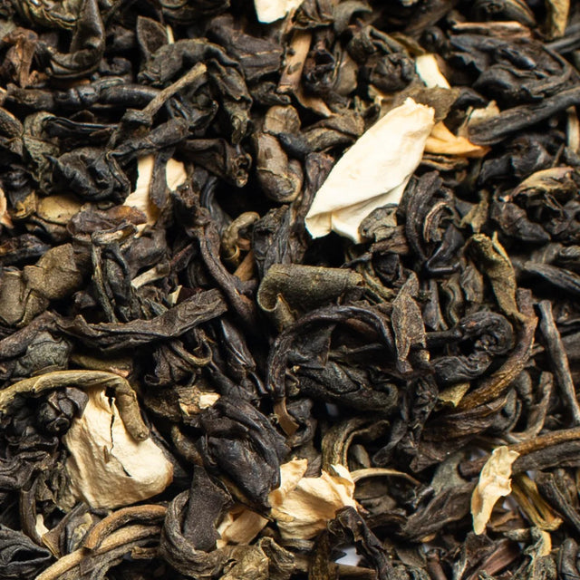 Flowering Jasmine from Pluck Tea