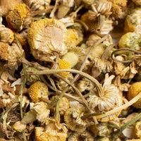 Organic Chamomile Flower from Pluck Tea