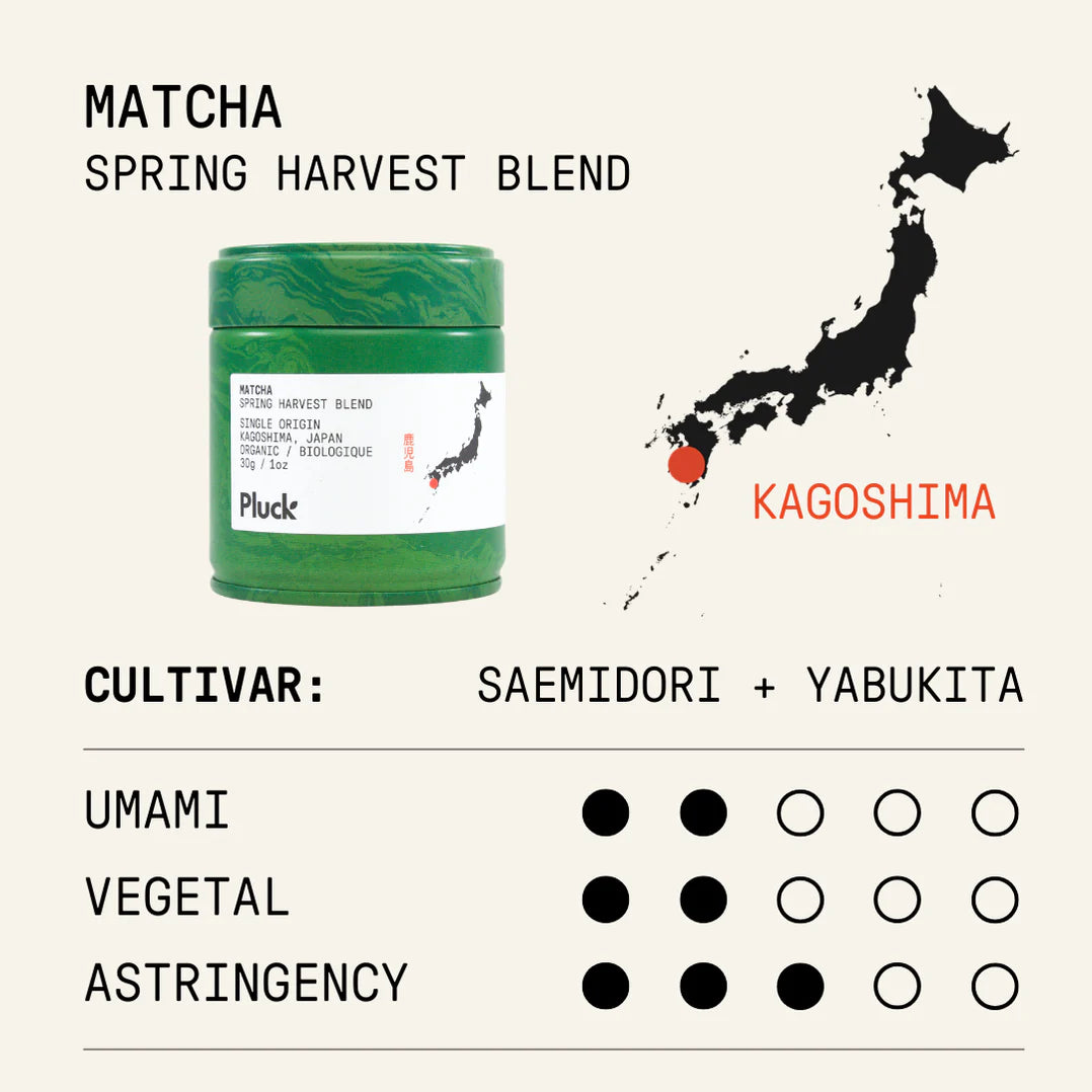 Organic Spring Harvest Matcha from Pluck Tea